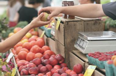 Image of Local Markets